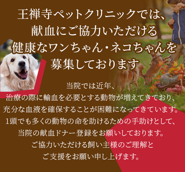 王禅寺ペットクリニックでは献血にご協力いただける健康なワンちゃん・ネコちゃんを募集しております