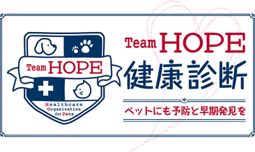 Team HOPE 健康診断